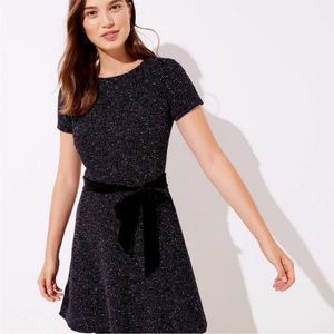 LOFT Textured Dress with Velvet Belt